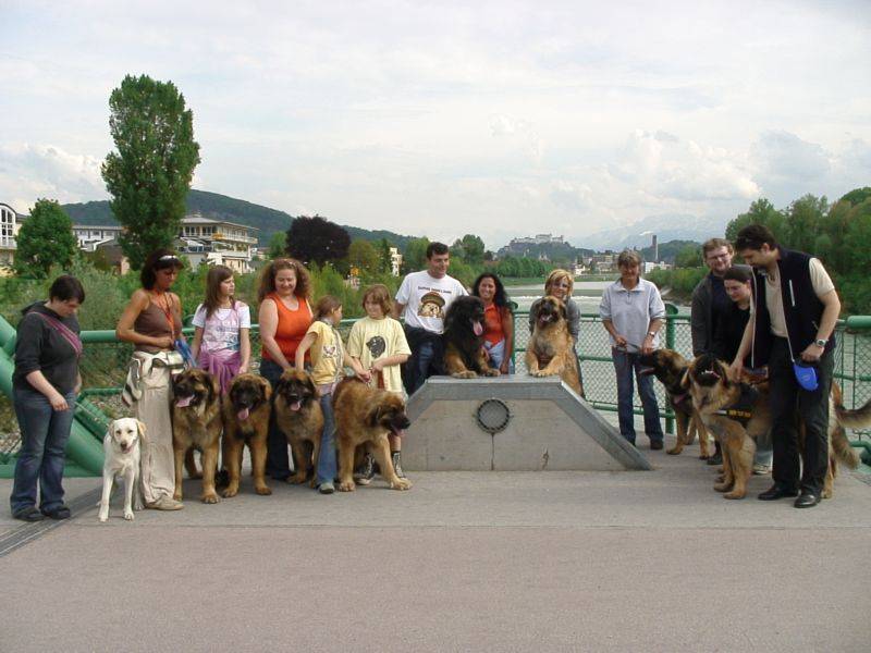 Salzburg Clubschau Mai 06 011 